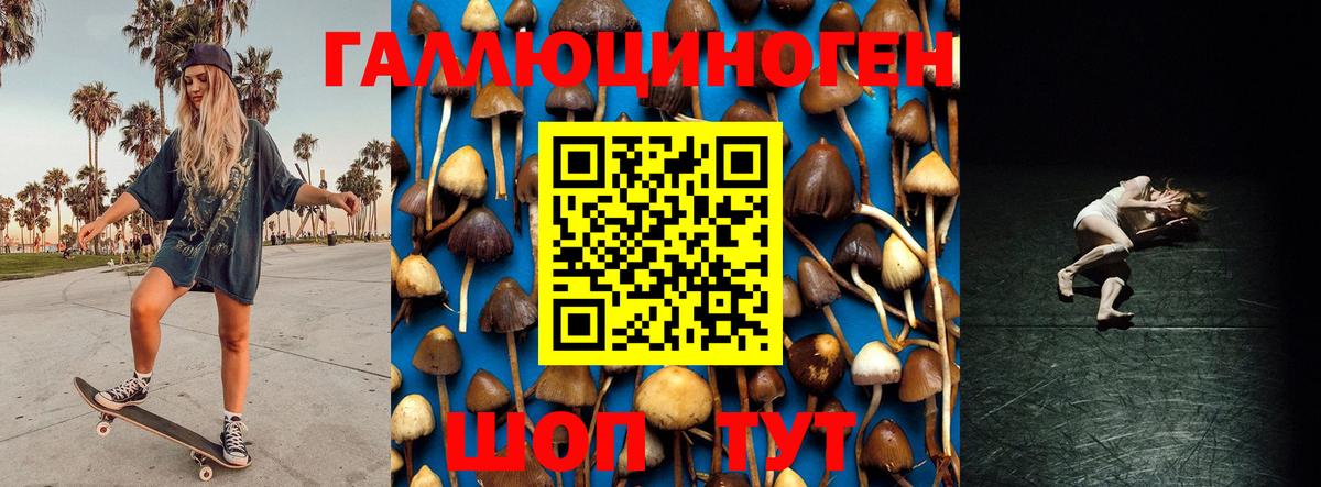Лениногорск  Псилоцибиновые грибы мухоморы  Вход с VPN 